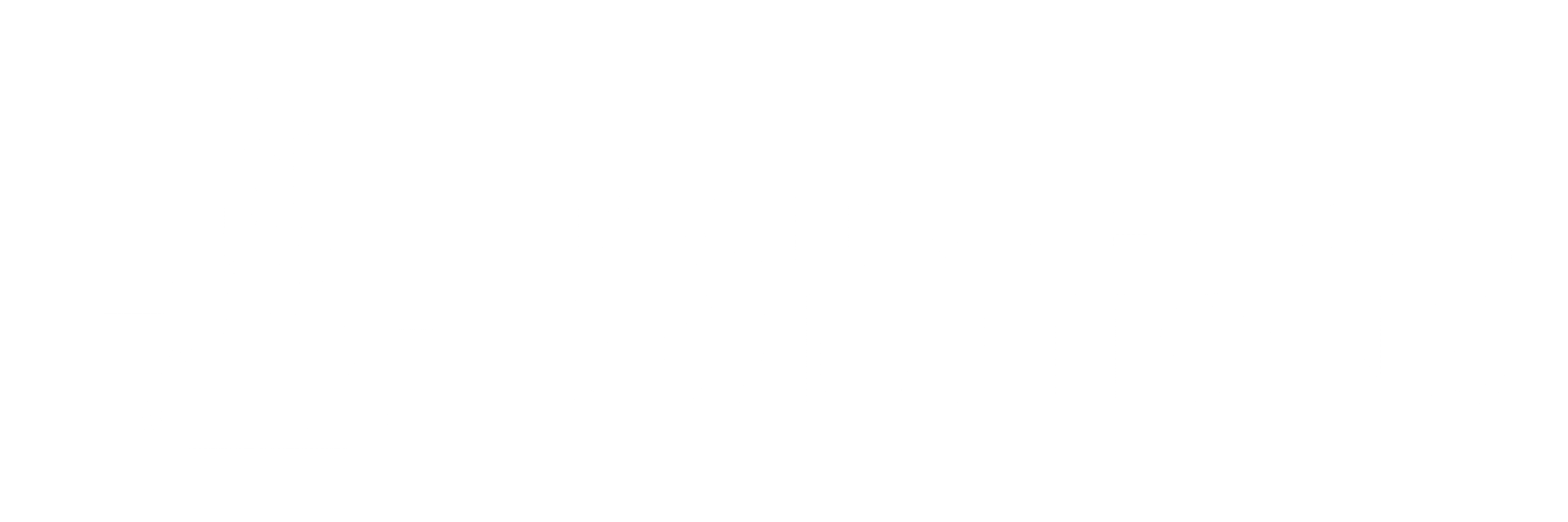 David Chemical Solutions Logo